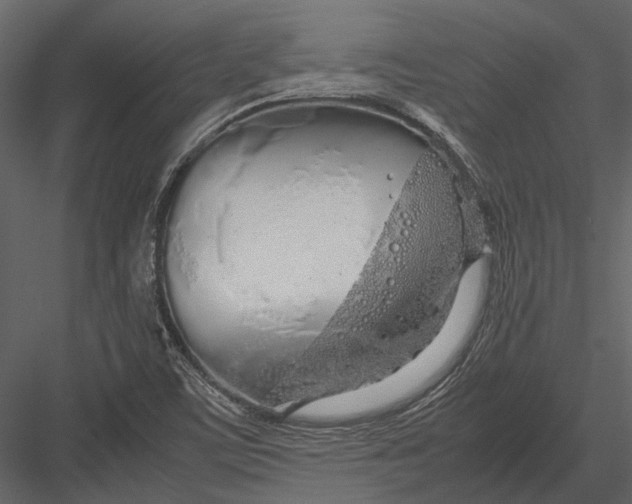 X0000083001459200702230114