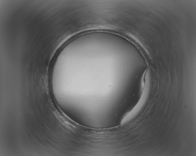 X0000083001460200702230114