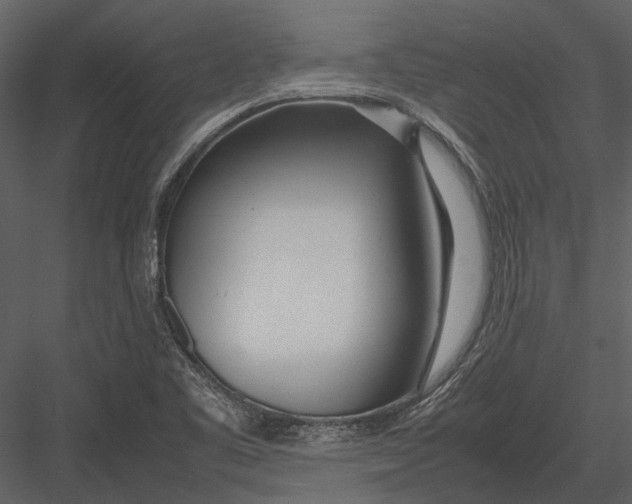 X0000083001461200702230114