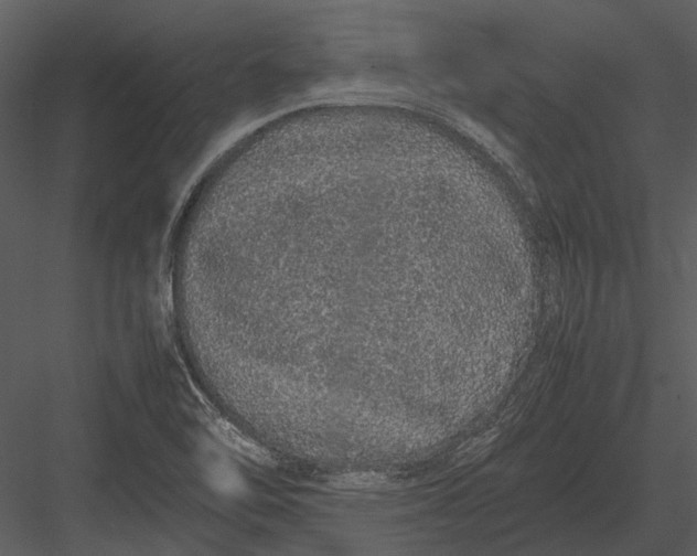 X0000083001462200702230114