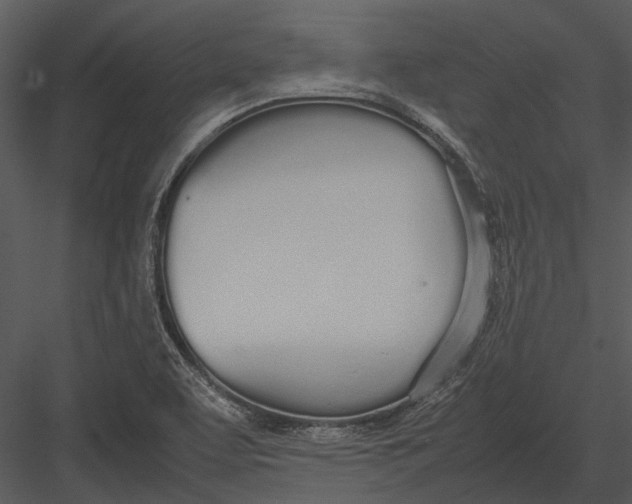 X0000083001463200702230114