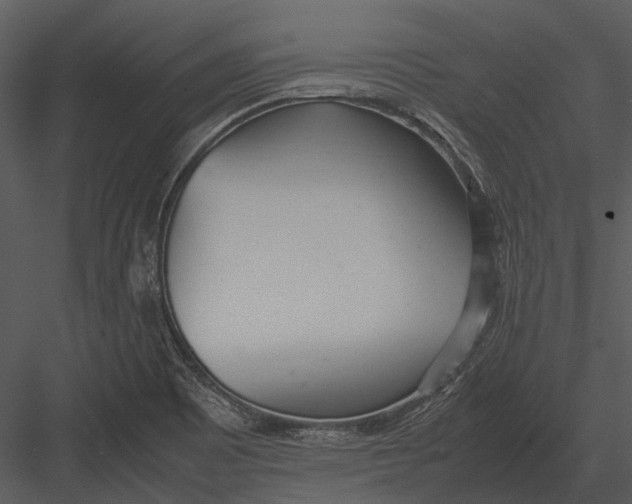 X0000083001465200702230114