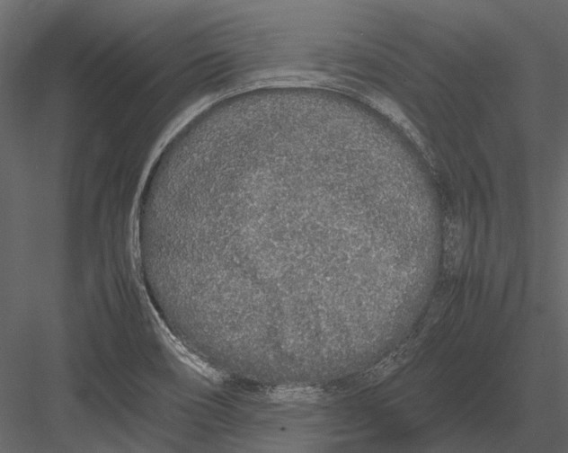 X0000083001466200702230114