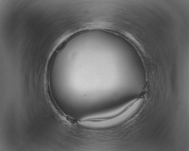 X0000083001469200702230114