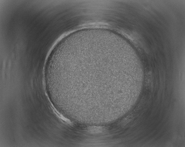 X0000083001470200702230114