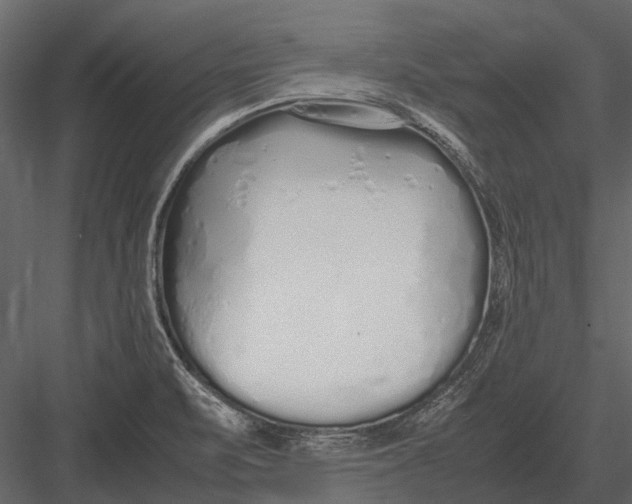 X0000083001471200702230114