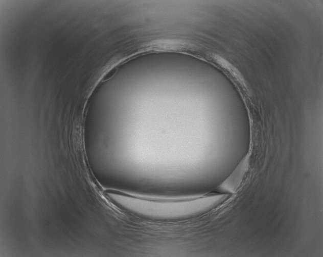 X0000083001473200702230113