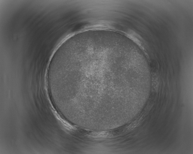 X0000083001474200702230113