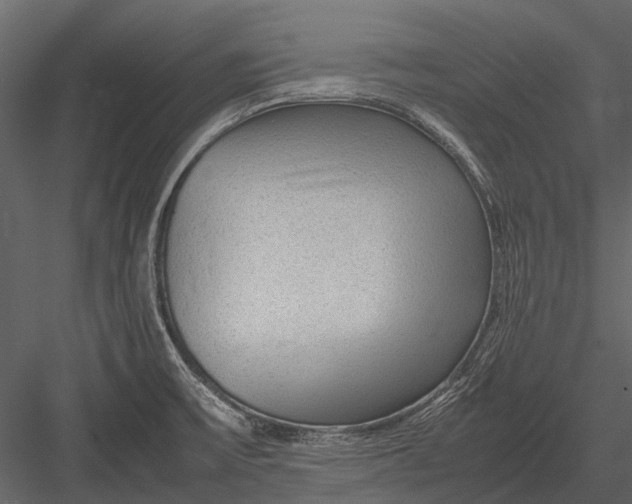 X0000083001475200702230113