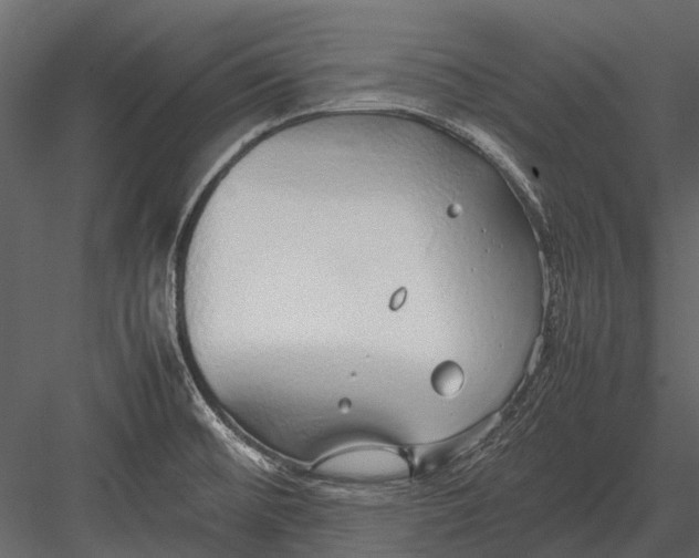 X0000083001476200702230113