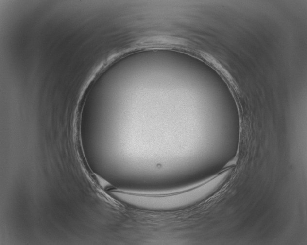 X0000083001477200702230113