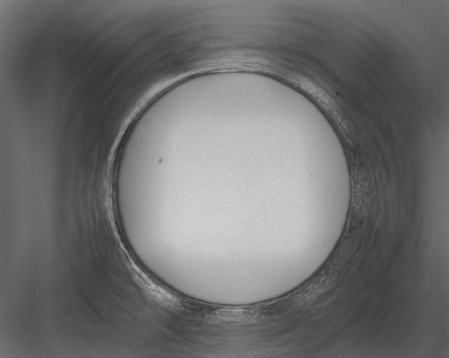 X0000083001478200702230113