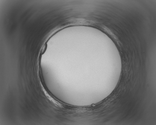 X0000083001479200702230113