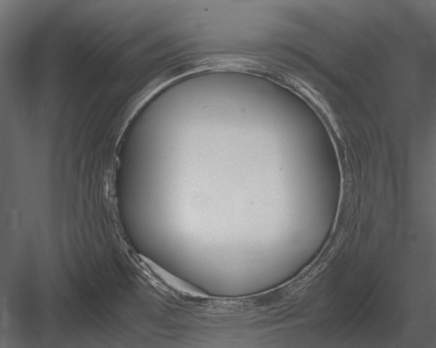 X0000083001481200702230113