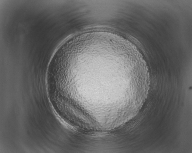 X0000083001482200702230113