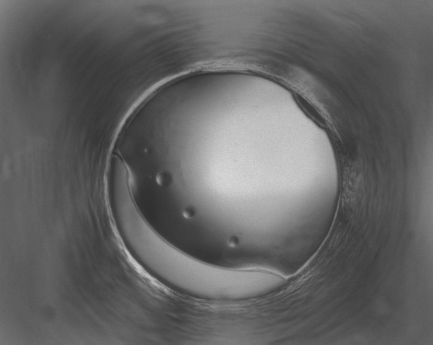 X0000083001484200702230113