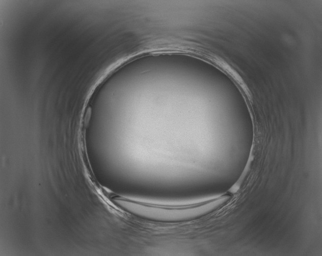 X0000083001485200702230113