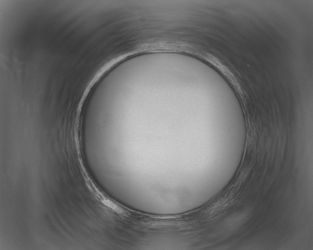 X0000083001486200702230113