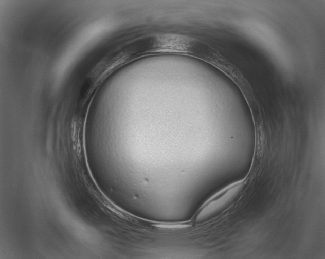 X0000083001487200702230113