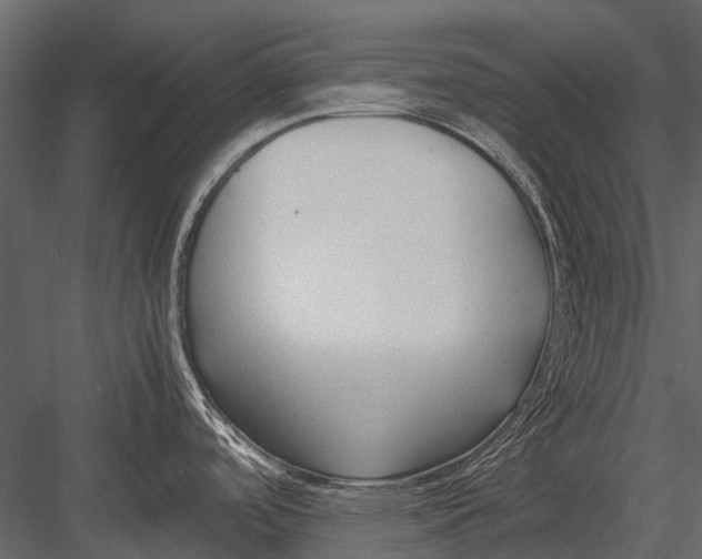 X0000083001488200702230113