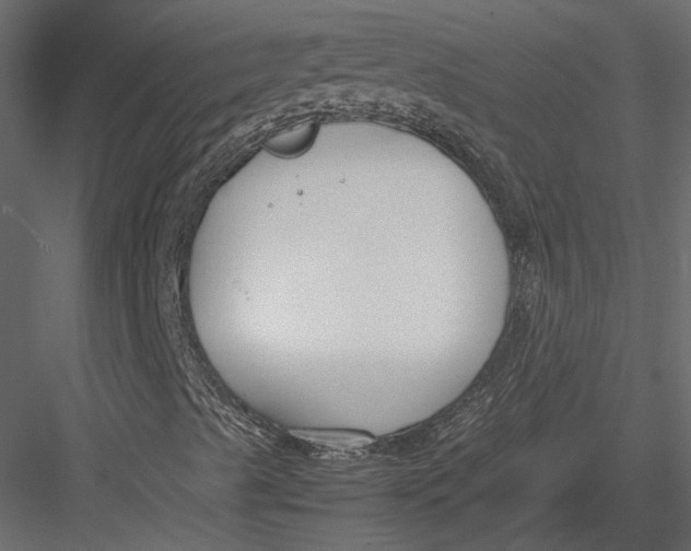 X0000083001489200702230112