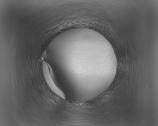 X0000083001490200702230112