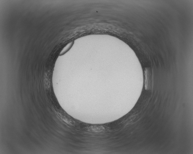 X0000083001491200702230112