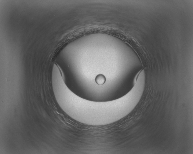 X0000083001492200702230112