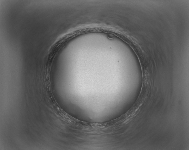 X0000083001494200702230112