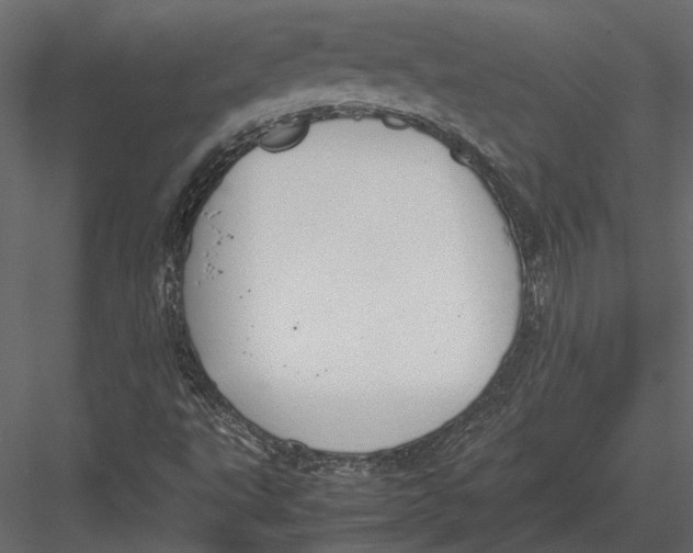 X0000083001495200702230113