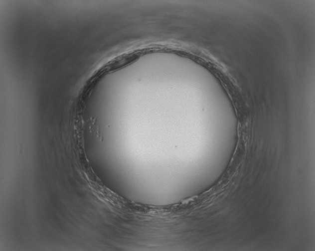 X0000083001496200702230113