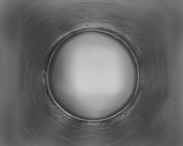 X0000083001497200702230113