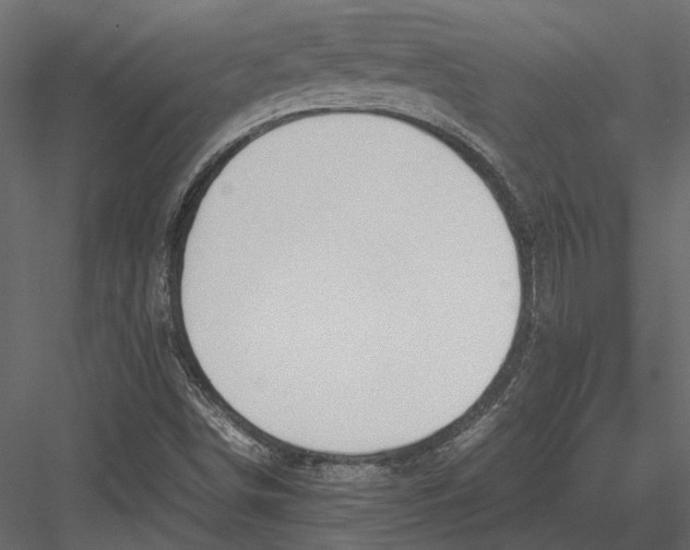 X0000083001498200702230113