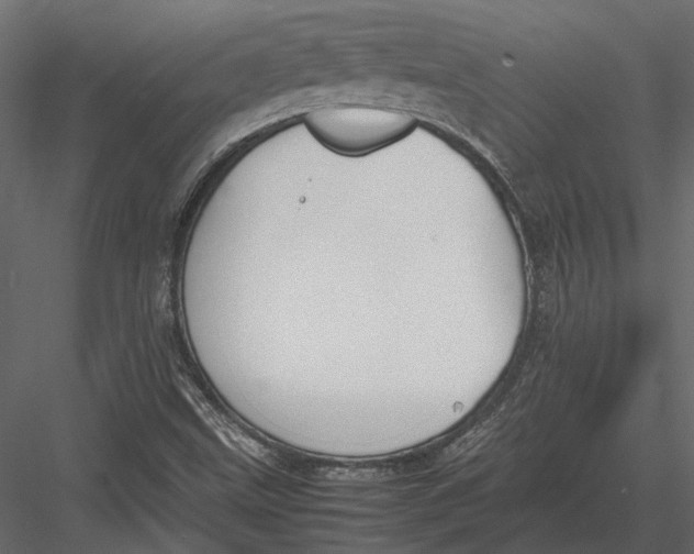 X0000083001499200702230113