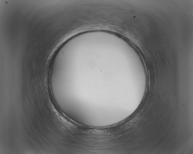 X0000083001500200702230113