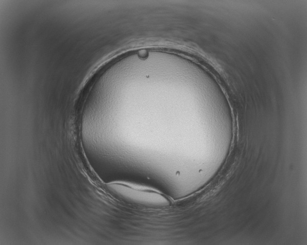 X0000083001501200702230113