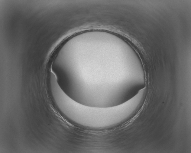 X0000083001502200702230113