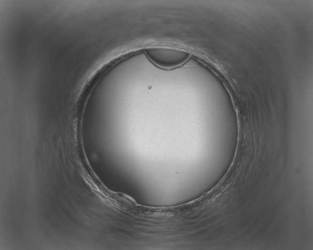 X0000083001503200702230113