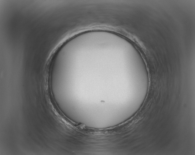 X0000083001504200702230113