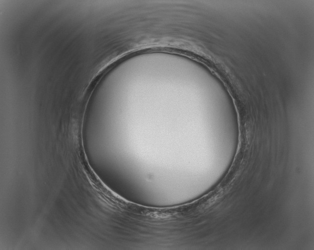 X0000083001505200702230113