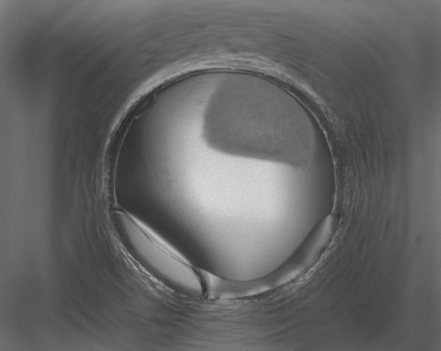 X0000083001506200702230113