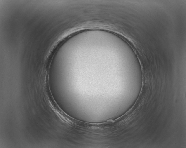 X0000083001507200702230113