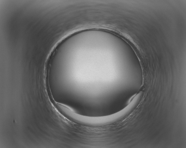 X0000083001508200702230113