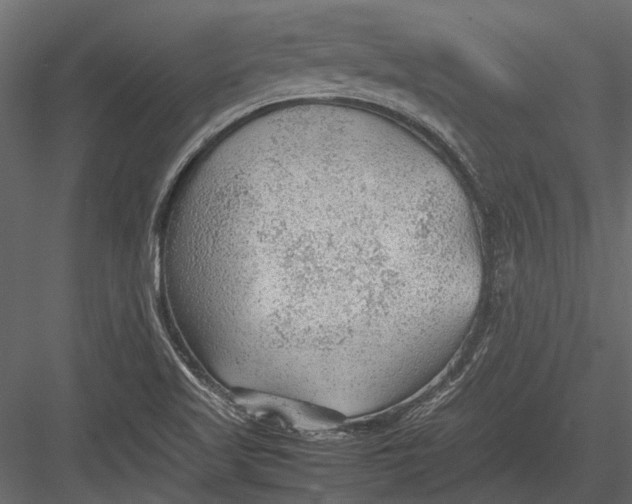 X0000083001509200702230113