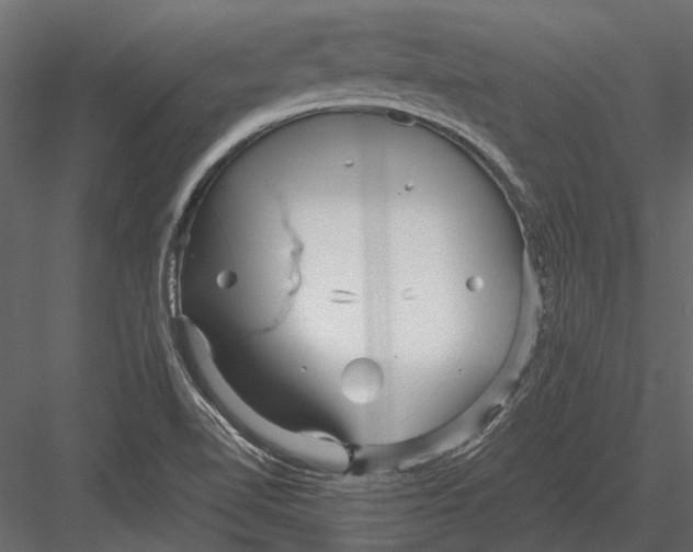 X0000083001510200702230113