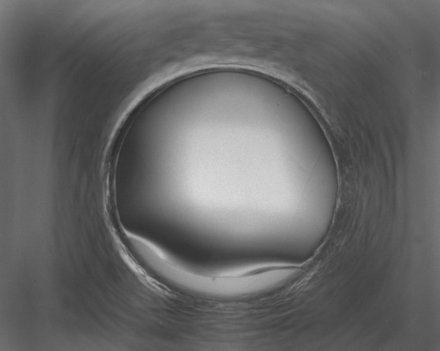 X0000083001511200702230113