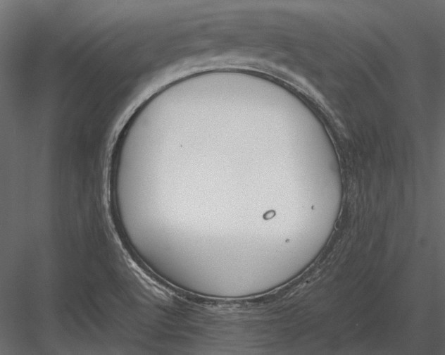 X0000083001512200702230113