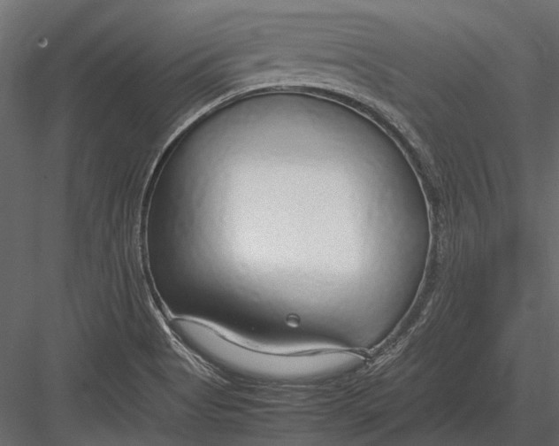 X0000083001513200702230113