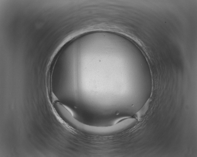 X0000083001515200702230113