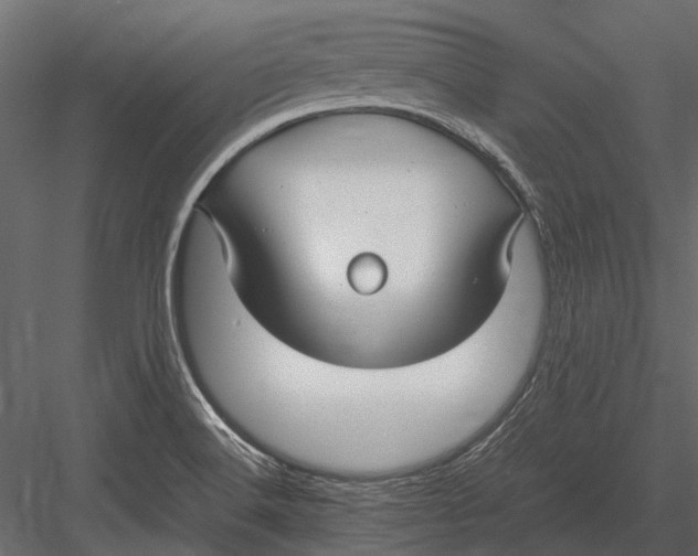 X0000083001516200702230113